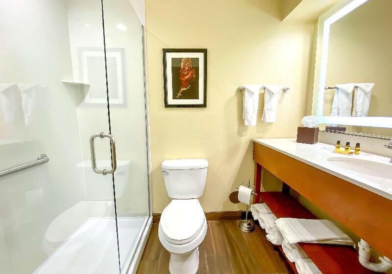 Номер Стандарт, Best Western Plus Inn Of Williams