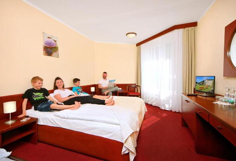 Номер Стандарт, Wellness Hotel Svornost