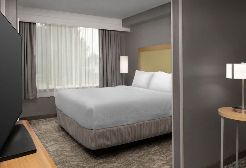 スイート, Springhill Suites By Marriott Boise Parkcenter