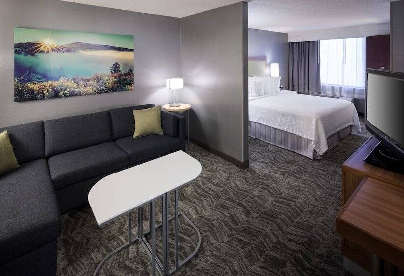 套房, Springhill Suites By Marriott Boise Parkcenter