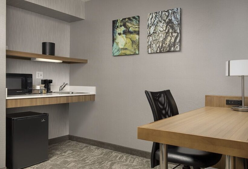 スイート, Springhill Suites By Marriott Boise Parkcenter