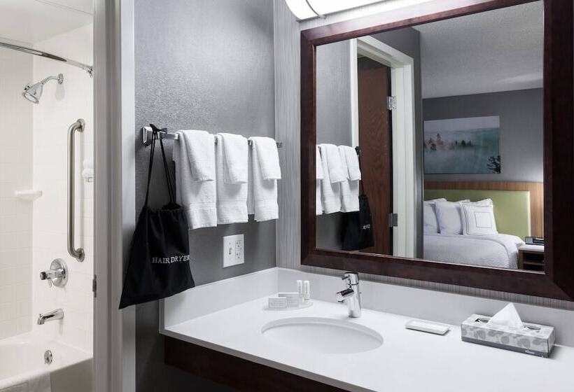 适合残疾人士使用的套间, Springhill Suites By Marriott Boise Parkcenter