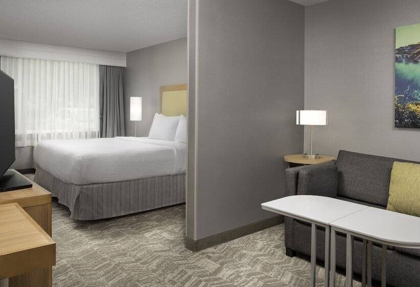 适合残疾人士使用的套间, Springhill Suites By Marriott Boise Parkcenter