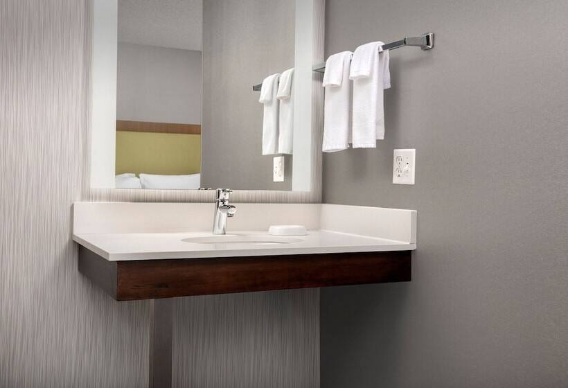套房, Springhill Suites By Marriott Boise Parkcenter