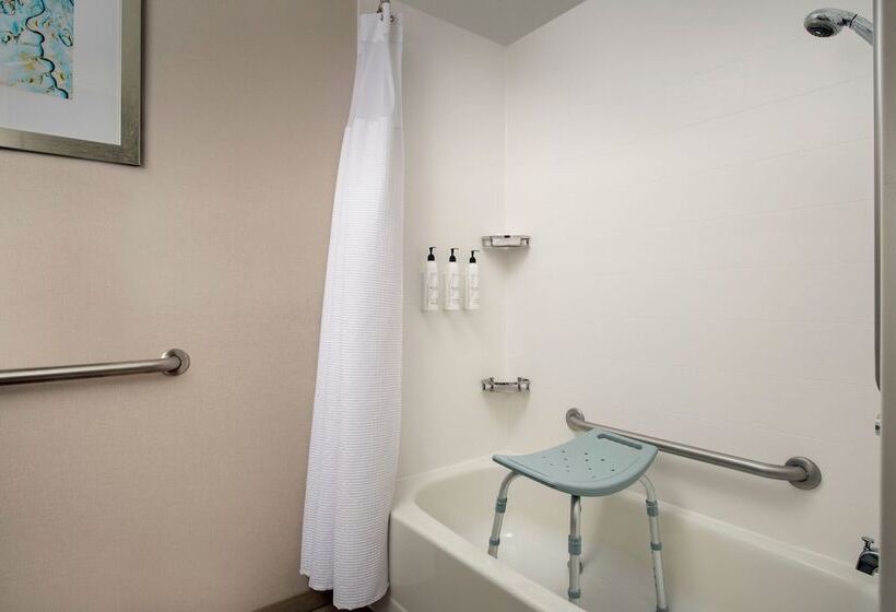 スイート, Springhill Suites By Marriott Boise Parkcenter