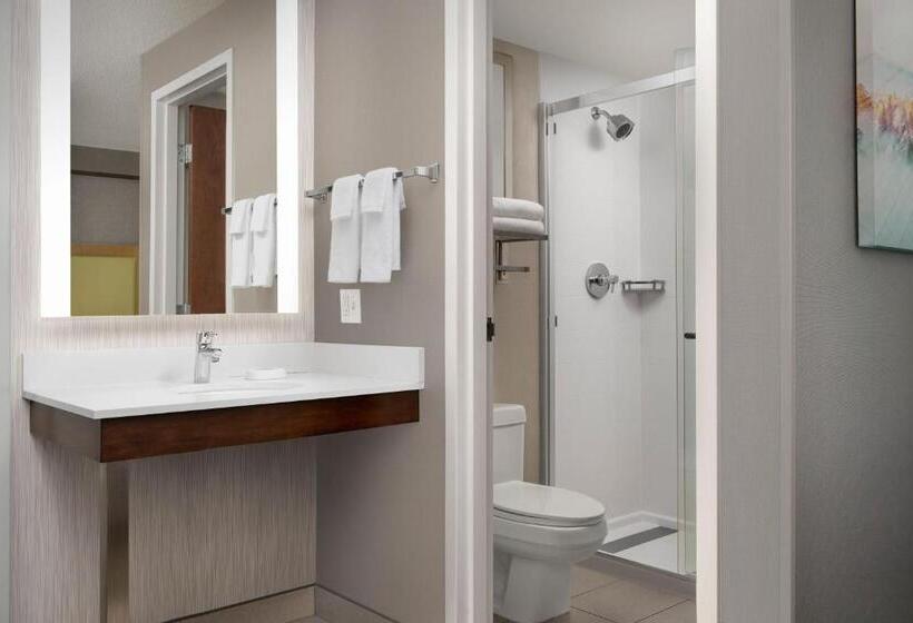 带大床的套房, Springhill Suites By Marriott Boise Parkcenter