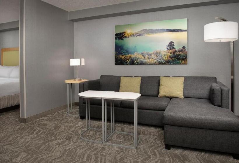 带大床的套房, Springhill Suites By Marriott Boise Parkcenter