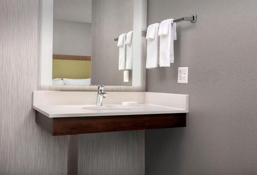 スイート, Springhill Suites By Marriott Boise Parkcenter
