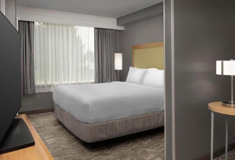 适合残疾人士使用的套间, Springhill Suites By Marriott Boise Parkcenter