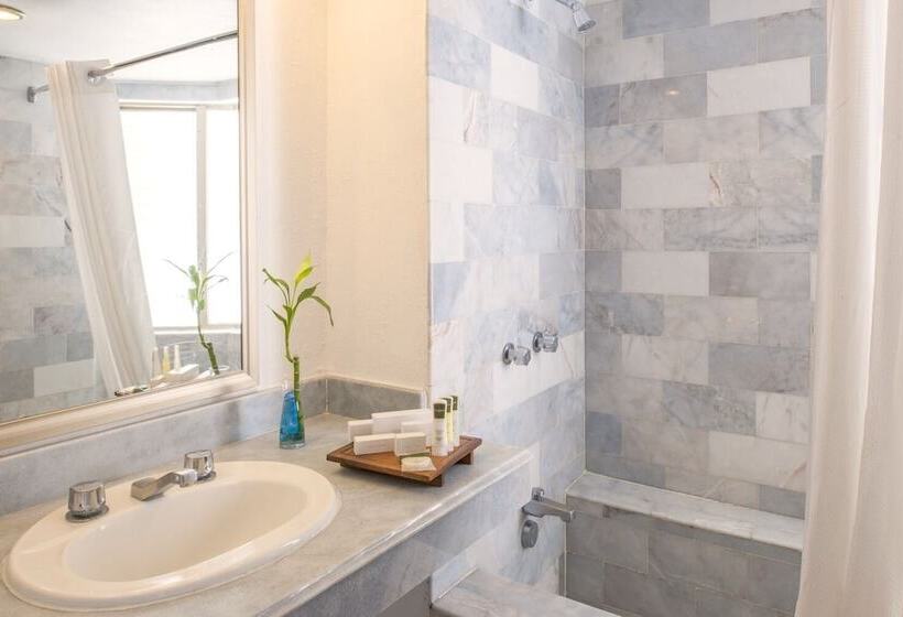 اتاق استاندارد با تخت بزرگ, Vamar Vallarta Marina & Beach Resort