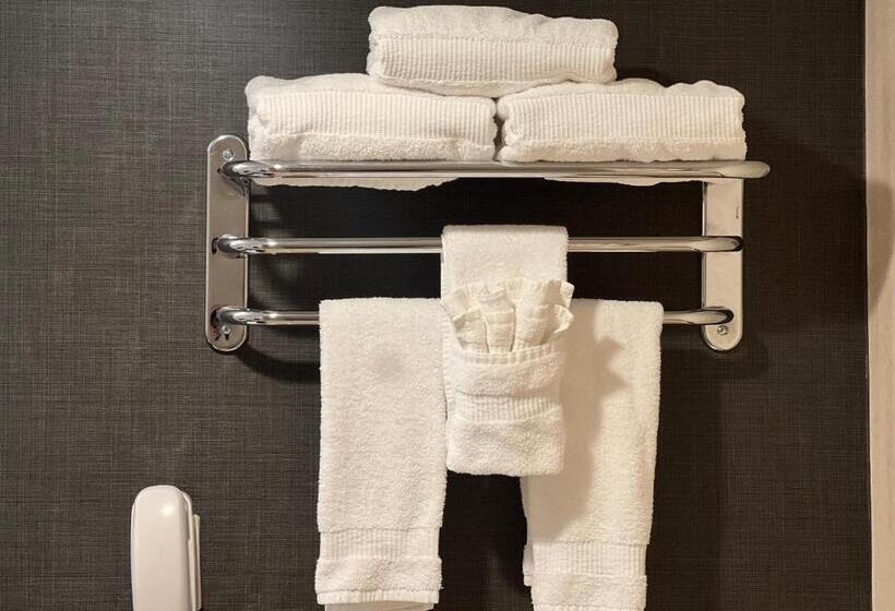 Номер Стандарт 2 Двуспальные Кровати, Inn At Great Neck