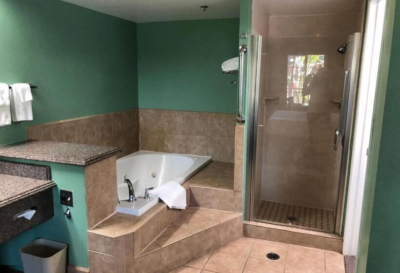 Номер Deluxe Кровать Кинг, Quality Inn Hemet  San Jacinto