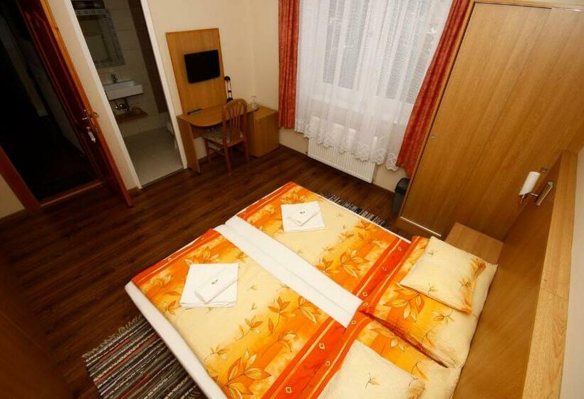 Номер Стандарт, Parti Panzió