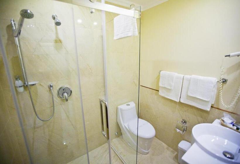 标准间, Gold Hotel Budapest