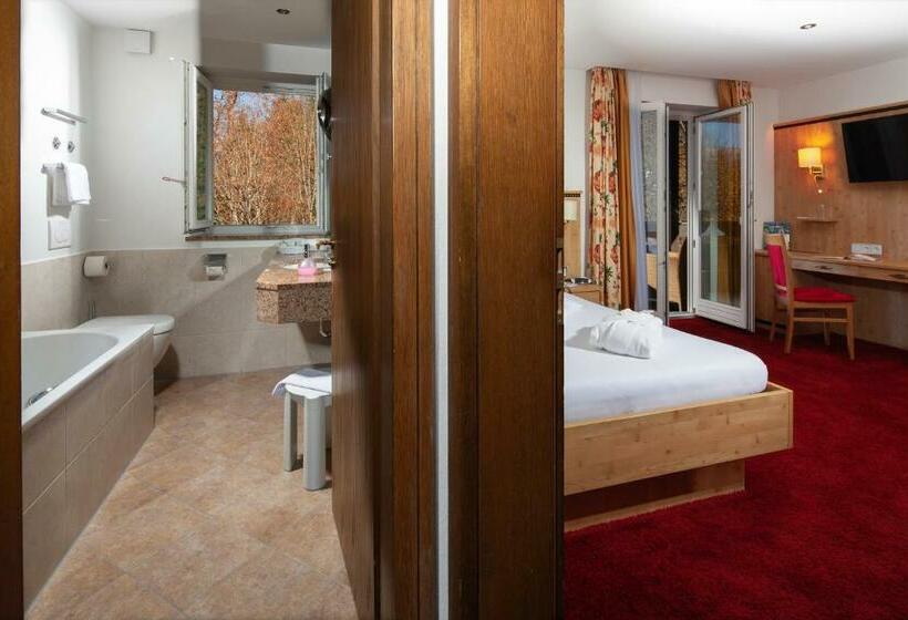 Номер Deluxe Одноместный, Alm  & Wellnesshotel Alpenhof