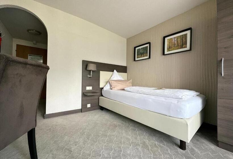 스탠다드 싱글 룸, Parkhotel Luise Bad Herrenalb