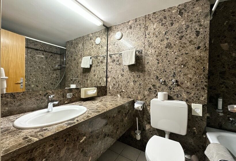 수피리어 룸, Parkhotel Luise Bad Herrenalb