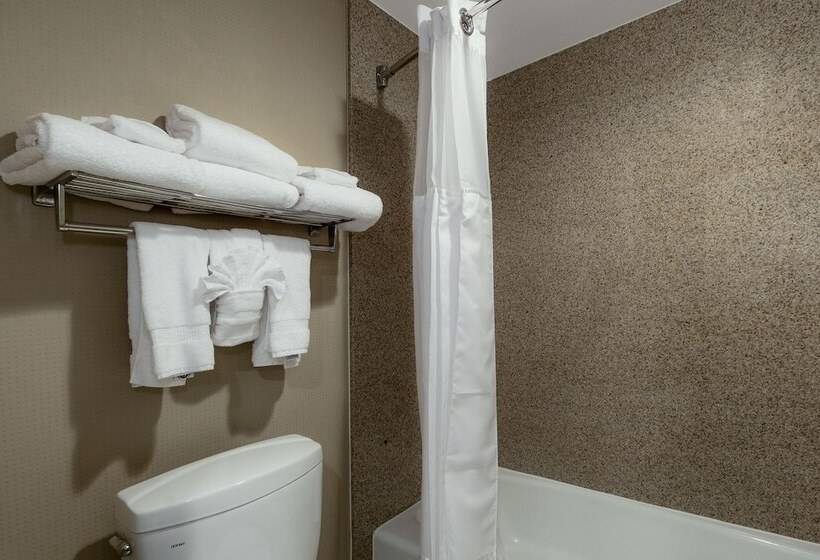 이그제큐티브 룸, Best Western Plus Newport Mesa Inn