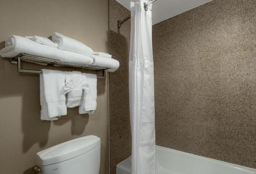이그제큐티브 룸, Best Western Plus Newport Mesa Inn