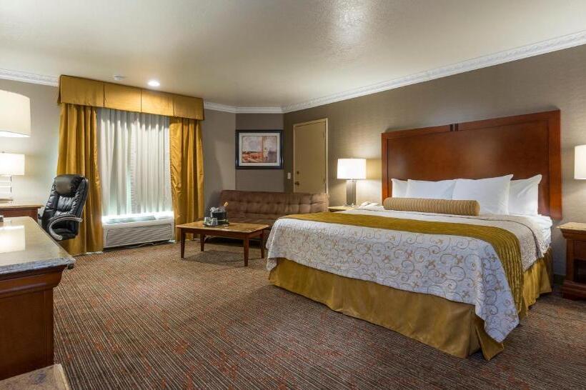 스탠다드 룸 킹사이즈 침대, Best Western Plus Newport Mesa Inn