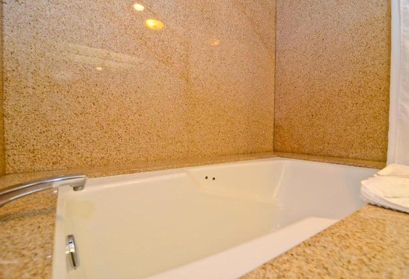 스탠다드 룸 킹사이즈 침대, Best Western Plus Newport Mesa Inn