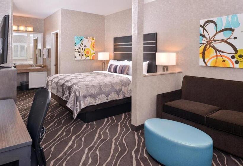 Chambre Standard Lit King Size, Best Western Plus Park Place Inn Mini Suites