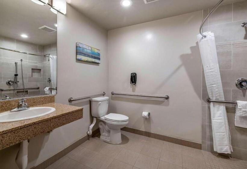 Chambre Standard Lit King Size Adaptée aux Personnes à Mobilité Réduite, Best Western Plus Park Place Inn Mini Suites