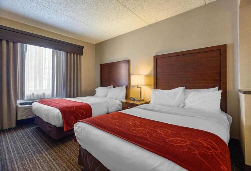 Люкс, Comfort Suites