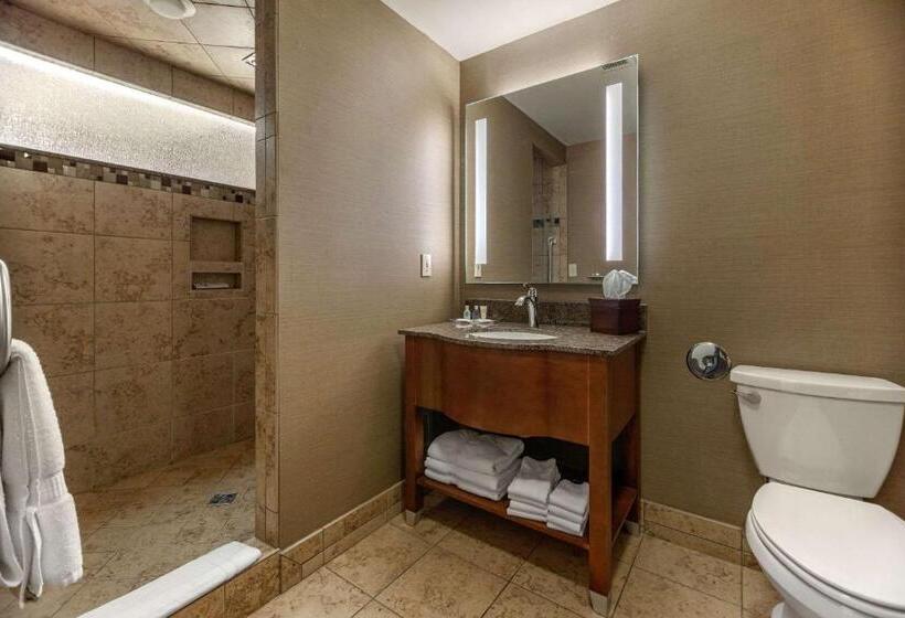 Люкс Superior, Comfort Suites