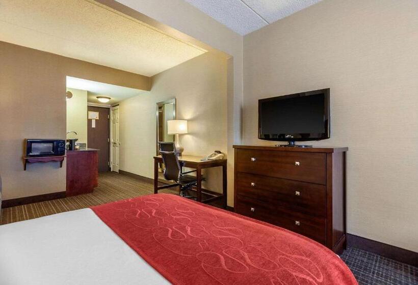 Люкс Адаптированный для Инвалидов, Comfort Suites