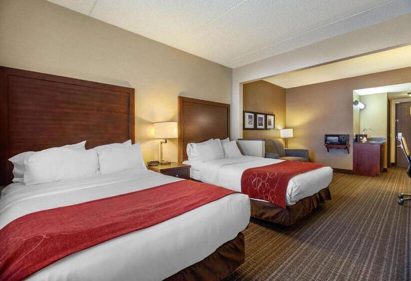 Люкс Адаптированный для Инвалидов, Comfort Suites