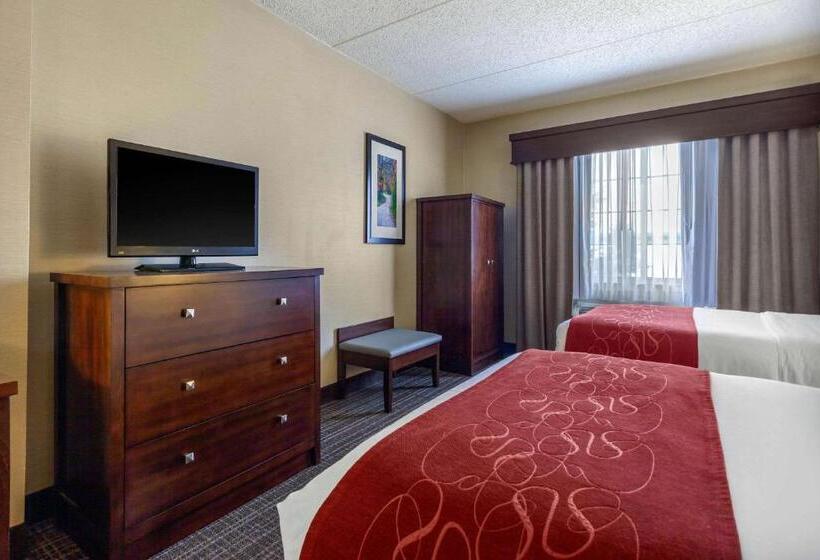 Люкс Адаптированный для Инвалидов, Comfort Suites