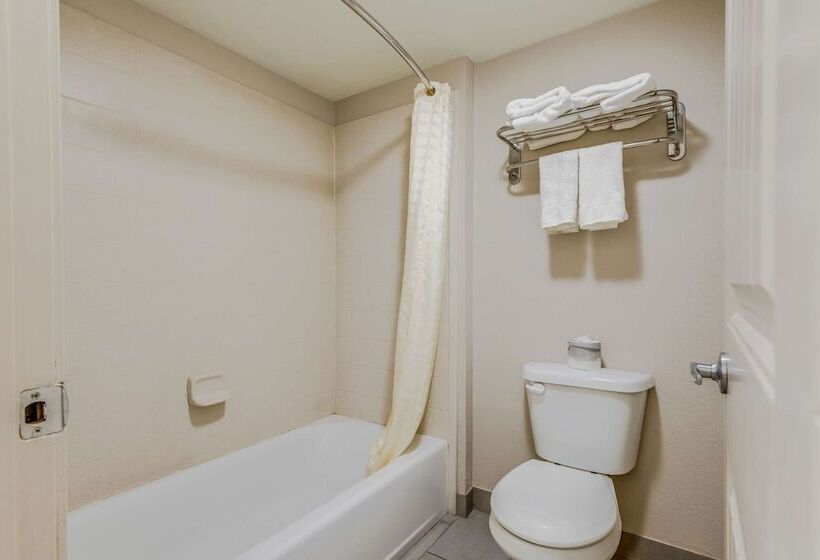 Люкс Адаптированный для Инвалидов, Econo Lodge Inn & Suites