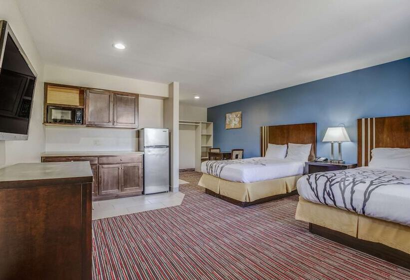 Люкс, Econo Lodge Inn & Suites