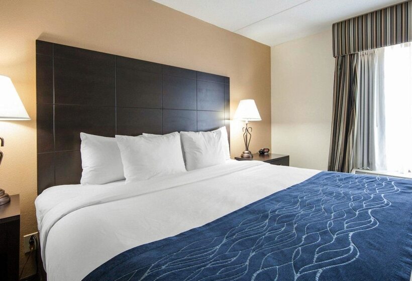 带2个双人床的标准工作室, Comfort Inn Oak Ridge  Knoxville