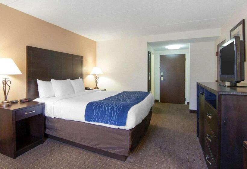 带大床的标准间, Comfort Inn Oak Ridge  Knoxville