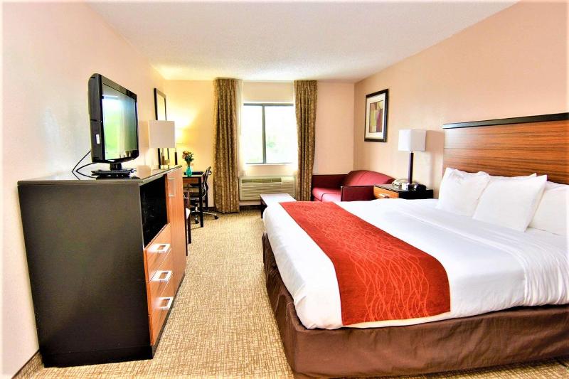 장애인을 위한 킹사이즈 침대 스탠다드 룸, Surestay Plus By Best Western Reading North