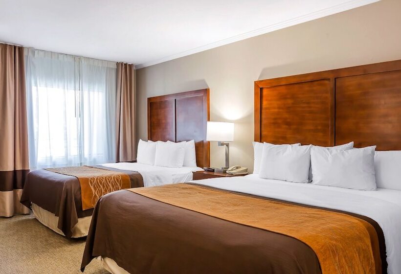 Номер Стандарт, Comfort Inn Santa Monica  West Los Angeles