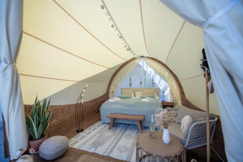 Номер Стандарт, Rodeway Inn North