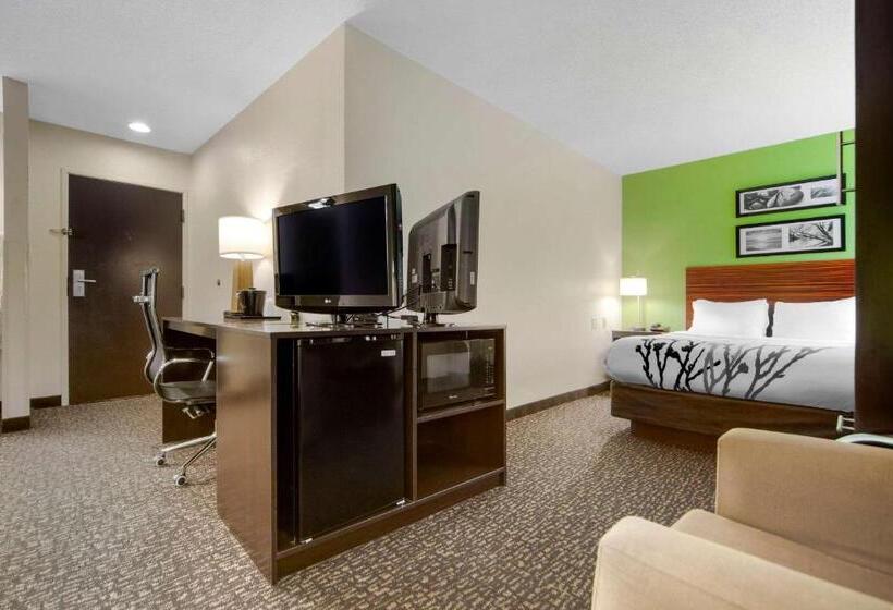 Номер Стандарт, Sleep Inn & Suites Omaha Airport