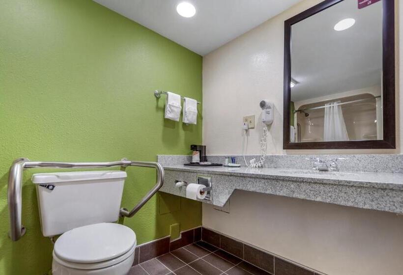 Номер Стандарт Адаптированный для Инвалидов, Sleep Inn & Suites Omaha Airport