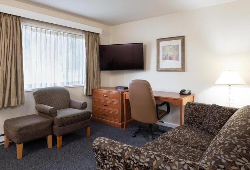 スイート, Robin Hood Inn And Suites