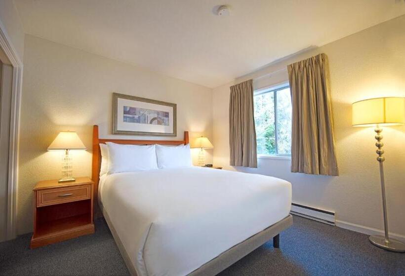 スイート, Robin Hood Inn And Suites