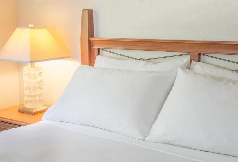 スイート（家族用）, Robin Hood Inn And Suites