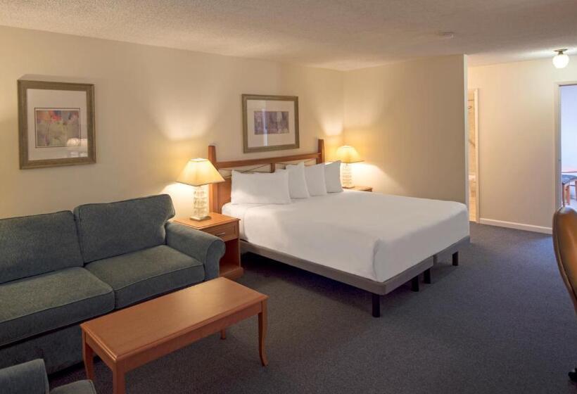 キングサイドベッドのスタンダードワンルーム, Robin Hood Inn And Suites