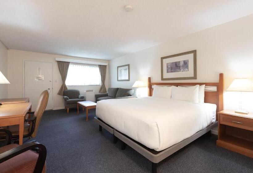 キングサイドベッドのスタンダードワンルーム, Robin Hood Inn And Suites