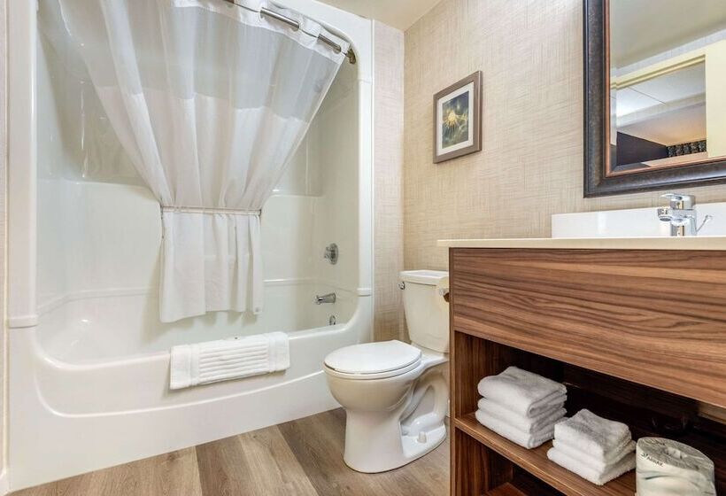 带大床的套房, Quality Suites
