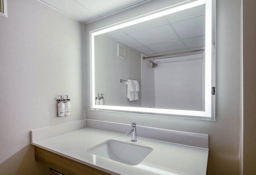 Номер Стандарт, Holiday Inn Express & Suites Greensboro   I 40 Atwendover, An Ihg