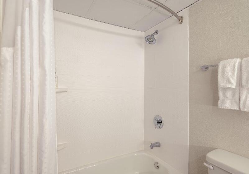 Номер Стандарт, Holiday Inn Express & Suites Greensboro   I 40 Atwendover, An Ihg