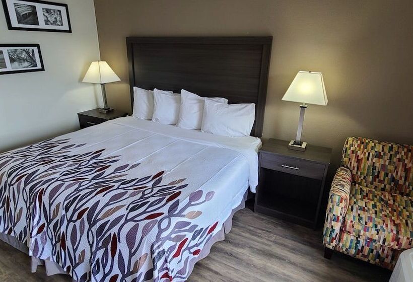 Номер Deluxe, Red Roof Inn & Suites Duncan